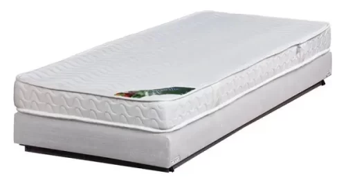 פולירון צעיר לטקס