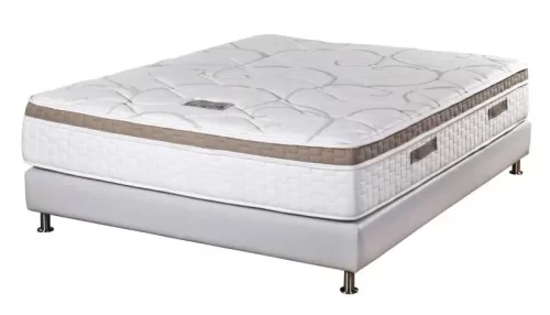 פולירון רסטפול פוקט