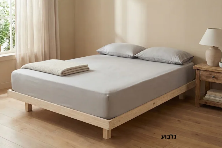 מיטת בסיס גלבוע